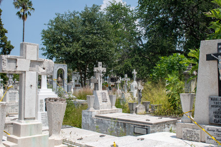 A historic cemetery in Guadalajara, Mexico, with various weathered stone crosses, old tombstones, and lush green vegetation under a bright blue skyの写真素材