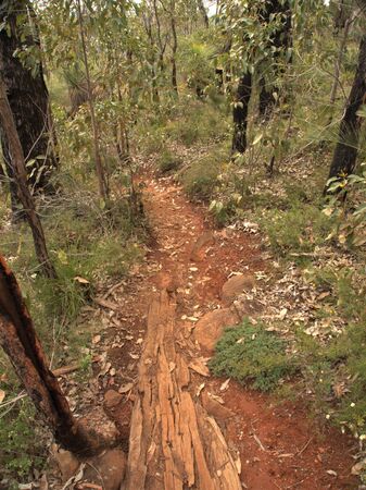 down the beaten path on the bibulmunの写真素材