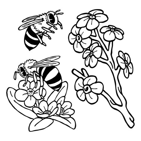 an illustration set of honey bees and blue flower in black and white hand drawn outline drawing  suitable for adults and kid coloring bookのイラスト素材