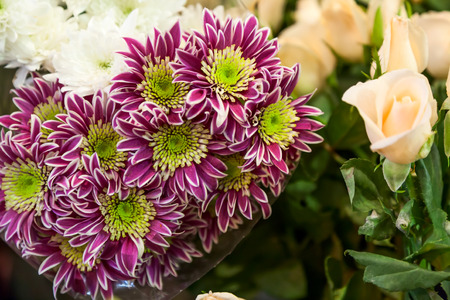  bouquet of flowers の写真素材