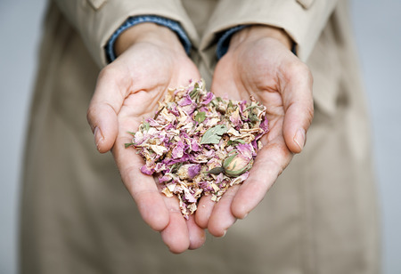 White Woman hands with pink flowersの写真素材