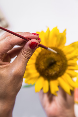 Woman hands painting with watercolors a sunflowerの写真素材