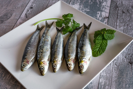 raw sardines with parsley and mint on plate on old wooden tableの写真素材