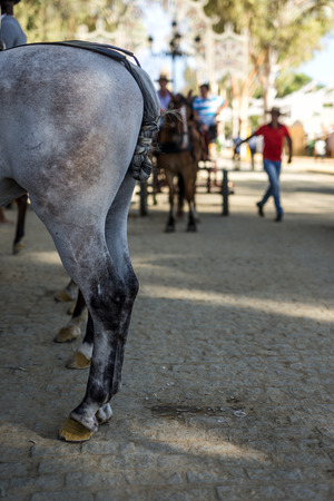 fair of Utrera in  Seville, typical decoration and horses in Andalucia Spanishの写真素材