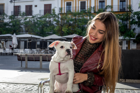 Beautiful blonde girl with boxer dog on the streetの写真素材