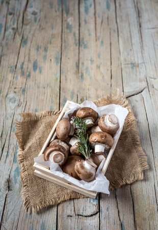 Fresh and natural mushrooms on plate on old wooden tableの写真素材