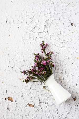 Flowers on white background. Flat lay, top view. Flowers backgroundの写真素材
