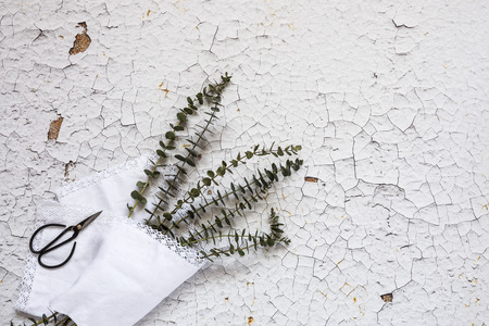 Flowers on white background. Flat lay, top view. Flowers backgroundの写真素材