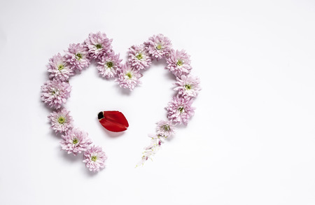 Heart frame pattern with flowers, pink flower buds, on white background isolated from aboveの写真素材