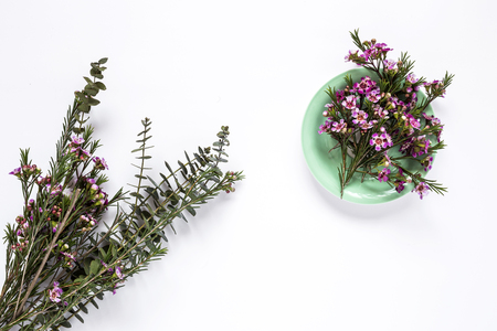 Flowers on white background. Flat lay, top view. Flowers backgroundの写真素材