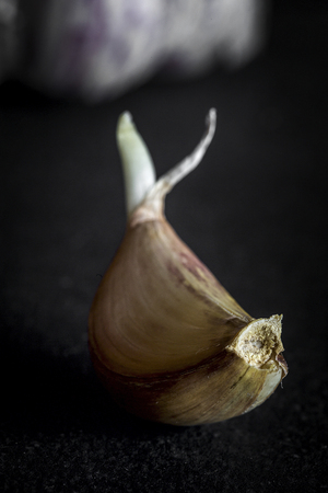 Mix of fresh vegetables on black backgroundの写真素材