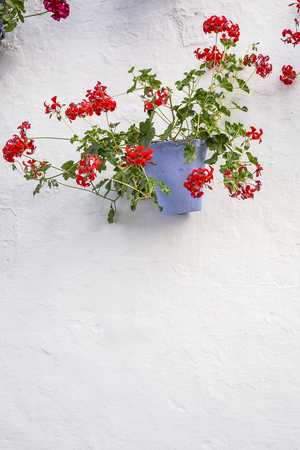 Flowers on white background. Flat lay, top view. Flowers backgroundの写真素材