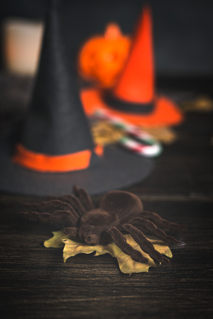 Halloween decoration background on dark wooden table. Spiders; pumpkin; Dark. Copyspaceの写真素材