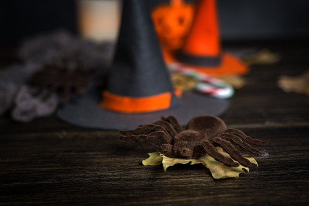Halloween decoration background on dark wooden table. Spiders; pumpkin; Dark. Copyspaceの写真素材