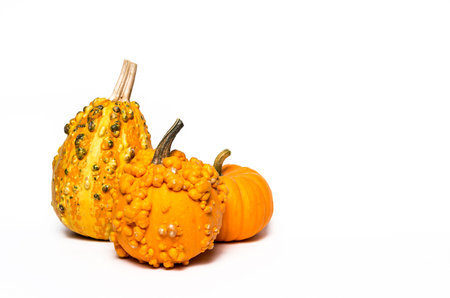 Halloween decoration background on dark wooden table. Spiders; pumpkin; Dark. Isolated: Copyspace