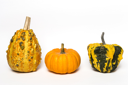 Halloween decoration background on dark wooden table. Spiders; pumpkin; Dark. Isolated: Copyspaceの写真素材