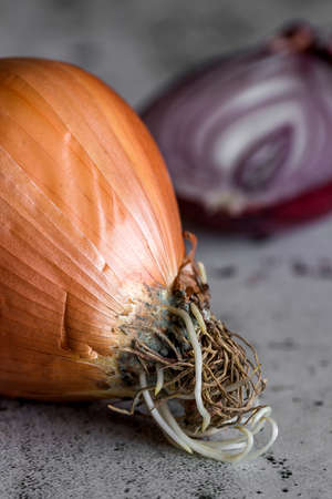 Fresh onions on old black wood table.Detoxの写真素材