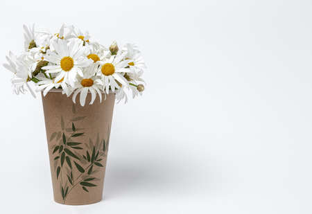 Fresh daisy flowers on colorful backgrounds. Spring concept. Isolatedの写真素材