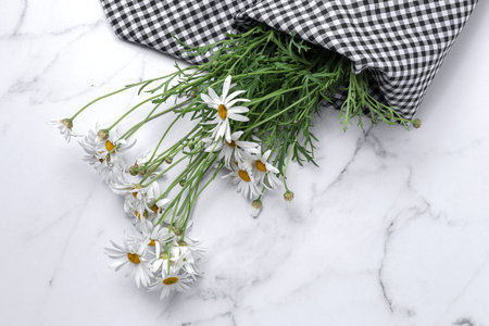 Fresh daisy flowers on colorful backgrounds. Spring concept. Isolatedの写真素材