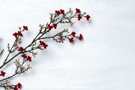 White wood plank texture for background with red flowersの写真素材