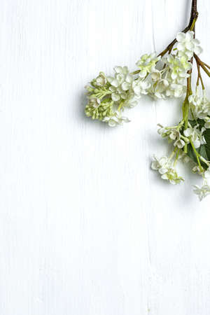 White wood plank texture for background with red flowersの写真素材