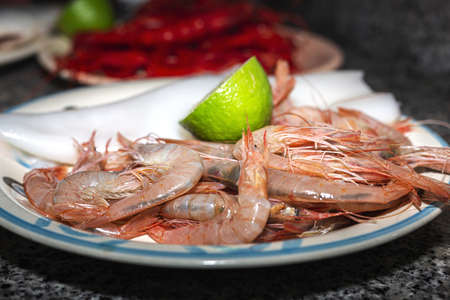 Raw fresh seafood ready to cook. Prawns: Red prawns; tuna; dorada fish, sardines. Seafood conceptの写真素材