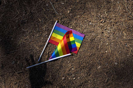 LGBT flag in the field. Pride. Freedom conceptの写真素材