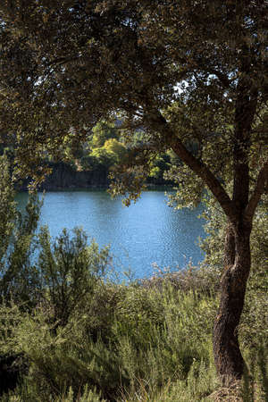 Autumn landscape with lake on a sunny dayの写真素材