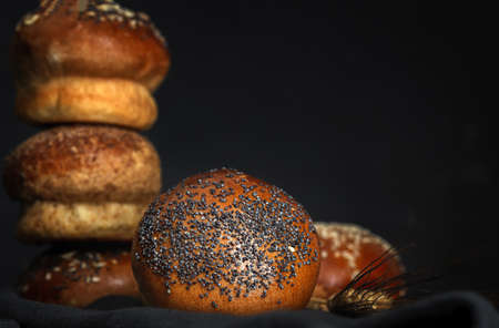 Assorted round homemade brioche buns with seeds on dark background with high contrast light. Isolatedの写真素材