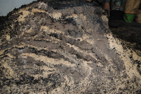 bocashi layers to fertilize plants, japanese method of preparation of bocashi fermented fertilizerの写真素材