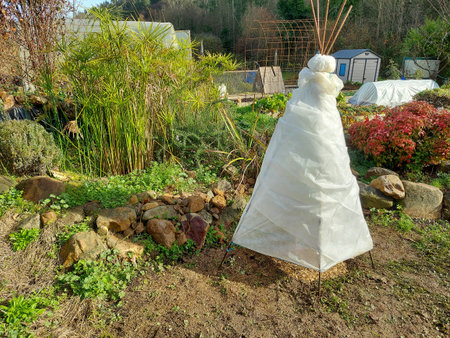 protect fruit trees from winter frosts with a thermal blanket for tropical fruit trees