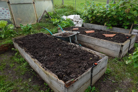 wheelbarrow full of manure to fertilize the raised wooden beds in the vegetable garden ready for planting.の写真素材