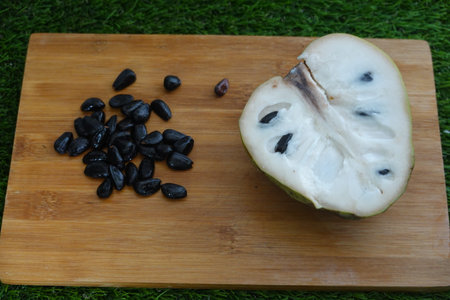 Custard apple seeds obtained from the fruit to plant at home.