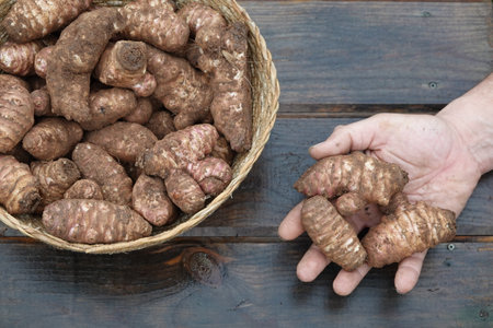man's hand with topinambur crop, basket with harvested jerusalem artichokeの写真素材
