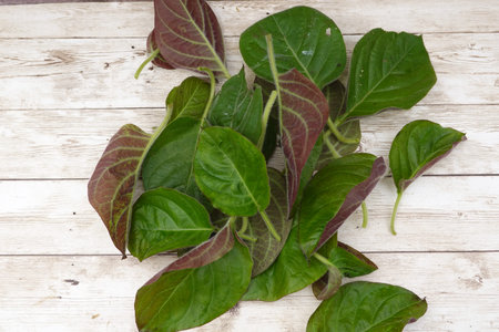 Vibrant green and burgundy vine leaves create a natural display on a weathered wooden surface