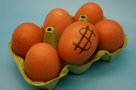 Carton of fresh brown eggs with dollar sign highlighting increasing food costs and inflation...