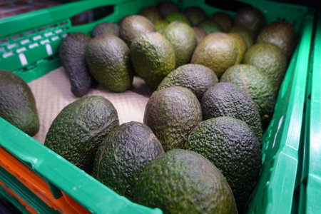 Ripe avocados resting in a green plastic crate, waiting for shoppers at the grocery store, offering a fresh and nutritious choiceの写真素材