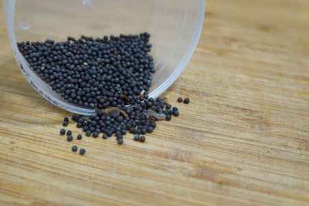 Dark pak choi seeds spilling from a small overturned plastic container onto a wooden cutting board, ready for planting or cookingの写真素材