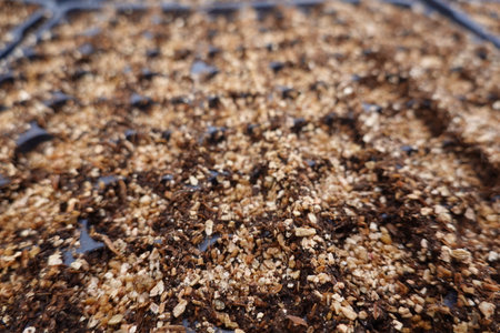 Mixture of perlite, vermiculite, and peat moss creates an ideal growing medium for starting seeds or rooting cuttings providing excellent drainage and aerationの写真素材