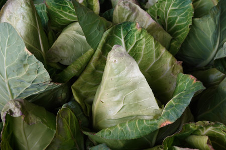 Close-up of vibrant green cabbages, creating a textured and colorful display at a local farmers...