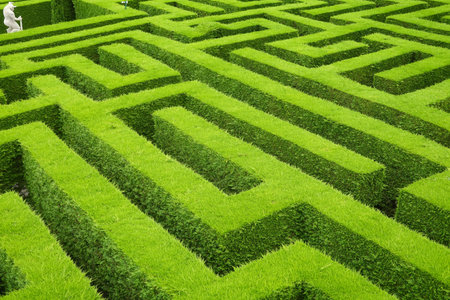 Intricate pathways wind through a vibrant green maze, creating a challenging puzzle for anyone...