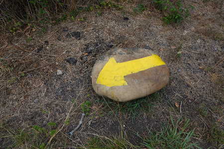 Yellow arrow indicating direction painted on a rock, guiding hikers or travelers along a nature trailの写真素材