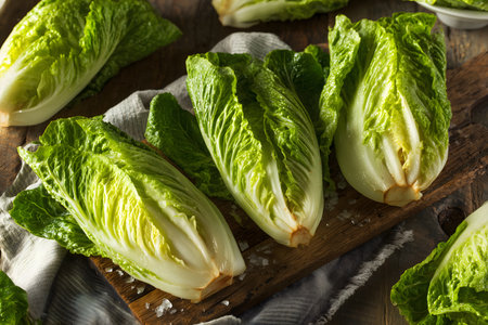 Freshly harvested organic romaine lettuce heads arranged on a rustic wooden cutting board, ready for a healthy mealの素材