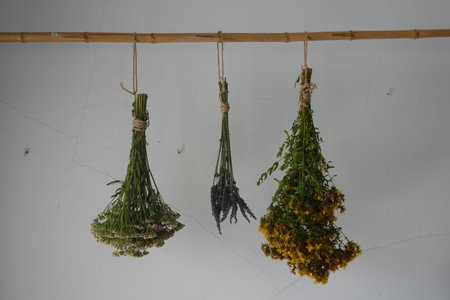 Bundles of yarrow, lavender, and st. John's wort drying on a bamboo stick, ready for traditional herbal remediesの写真素材