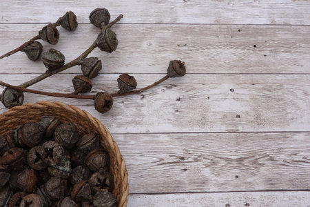 Eucalyptus pods and gumnuts filling a woven basket and scattered on rustic wood creating a natural...