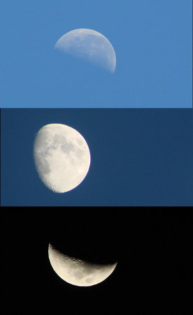 moon moons during day and night diffrent stades