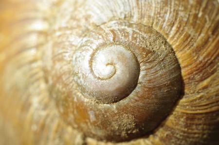 snail houseの写真素材