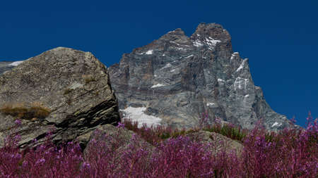 mountain cervin in italy with blue skyの写真素材