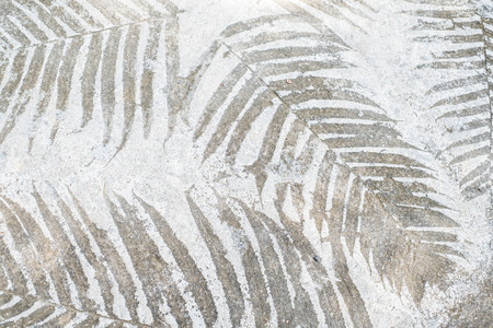 Grey concrete texture with leaf imprintsの写真素材