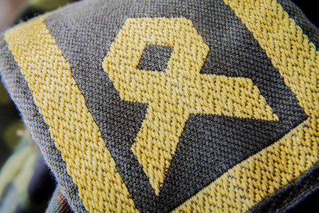 german army hauptbootsmann chief petty officer badgeの写真素材